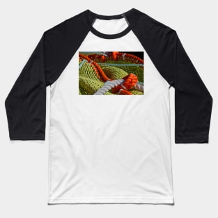 850_4870 Baseball T-Shirt
